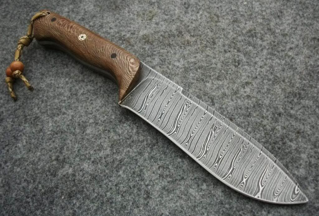 damcamp010.jpg