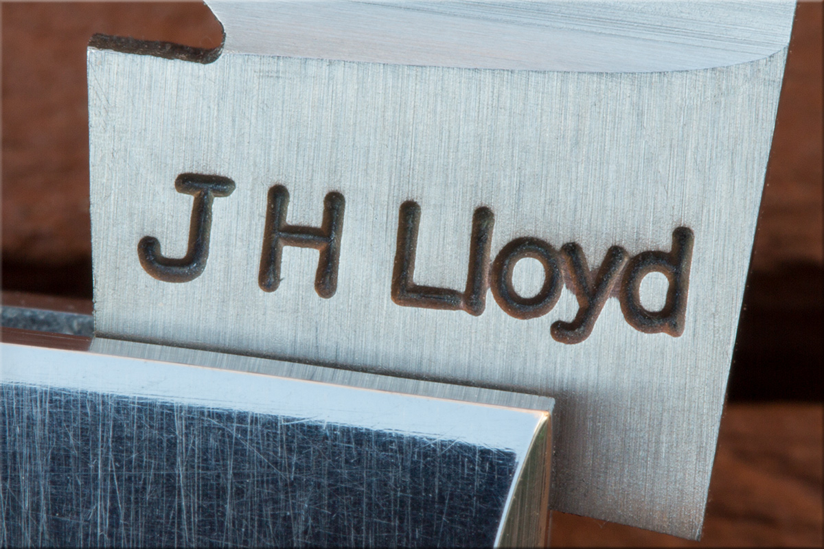 lloydmammoth.jpg