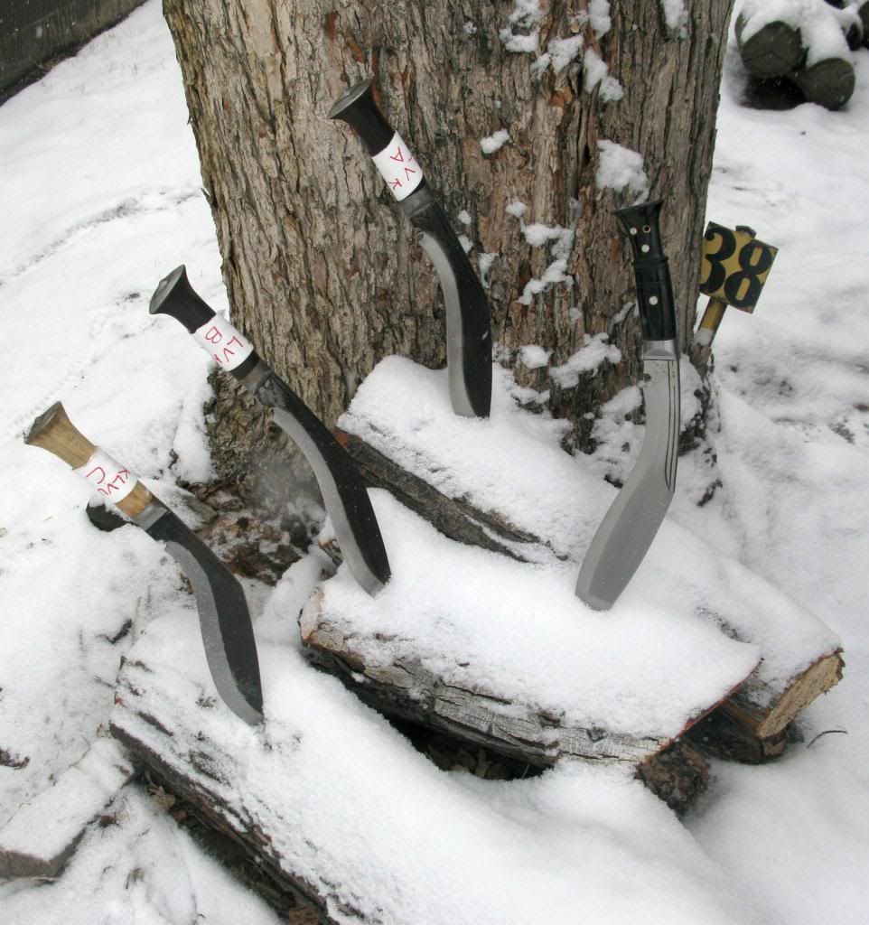 12-29-12004_zpsb545870a.jpg