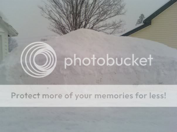 snow.jpg