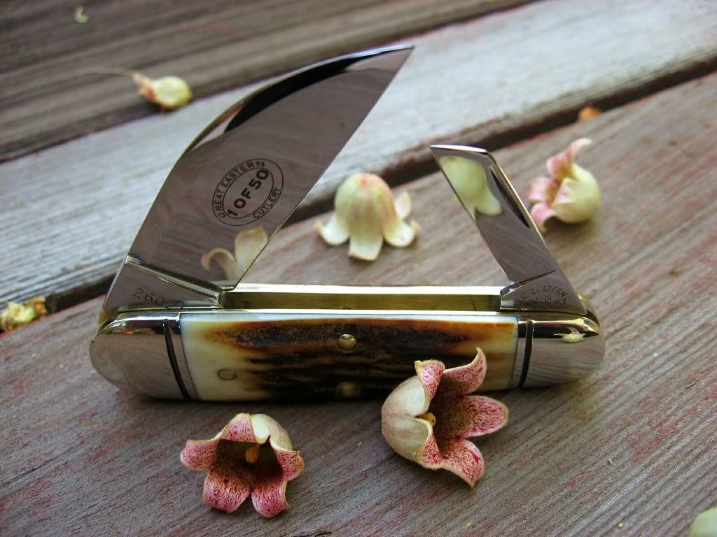 GEC26Sleeveboard05.jpg