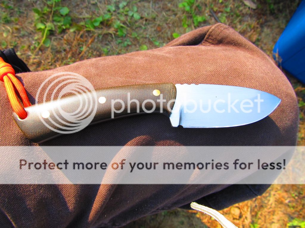 IMG_1482_zps82f8fa63.jpg