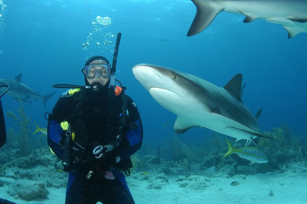 resizedKevandsharks.jpg