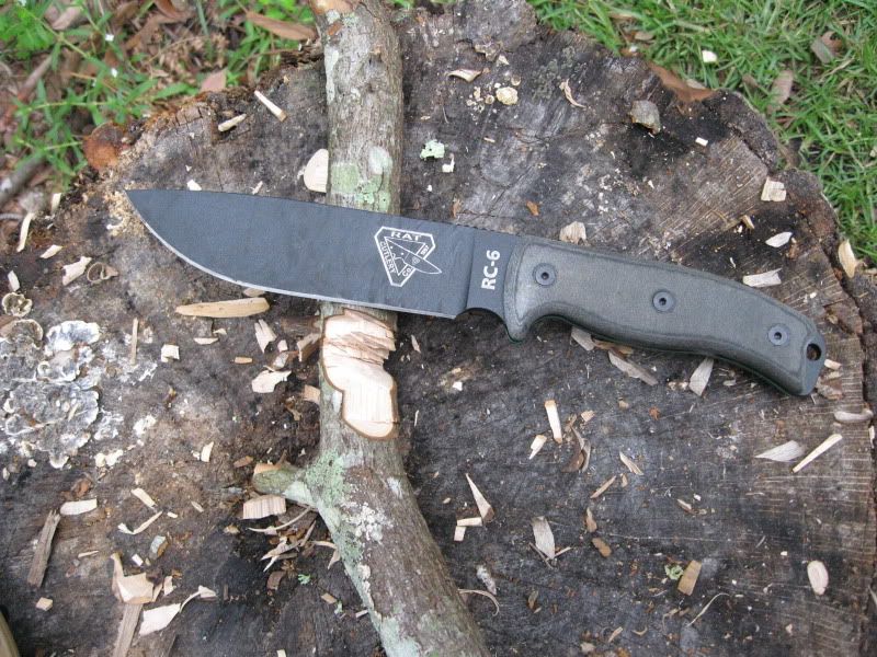 RC-6031.jpg