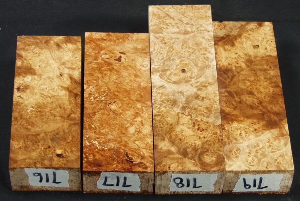 5b-4.jpg
