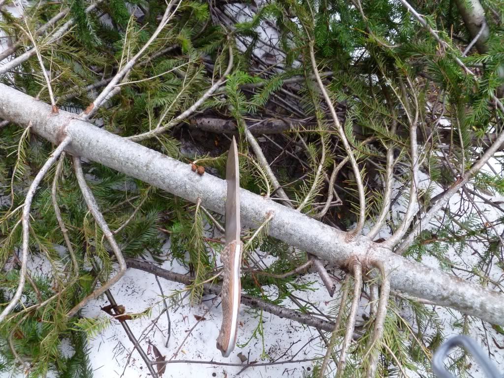 P1000201.jpg