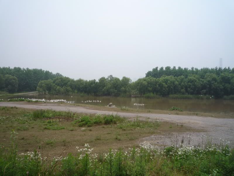 P1070429.jpg