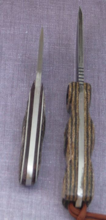 24abd16spines_zps403b7039.jpg