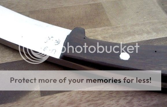 IMG_20130525_070828_zpsdefa2a01.jpg