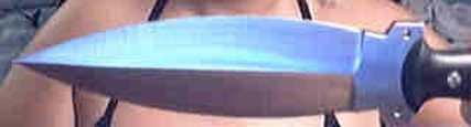 4855708-45857.jpg