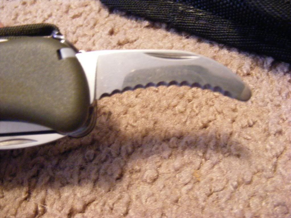 008-72.jpg