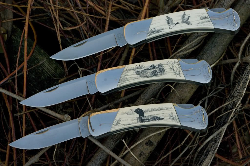 Buck500Birds.jpg