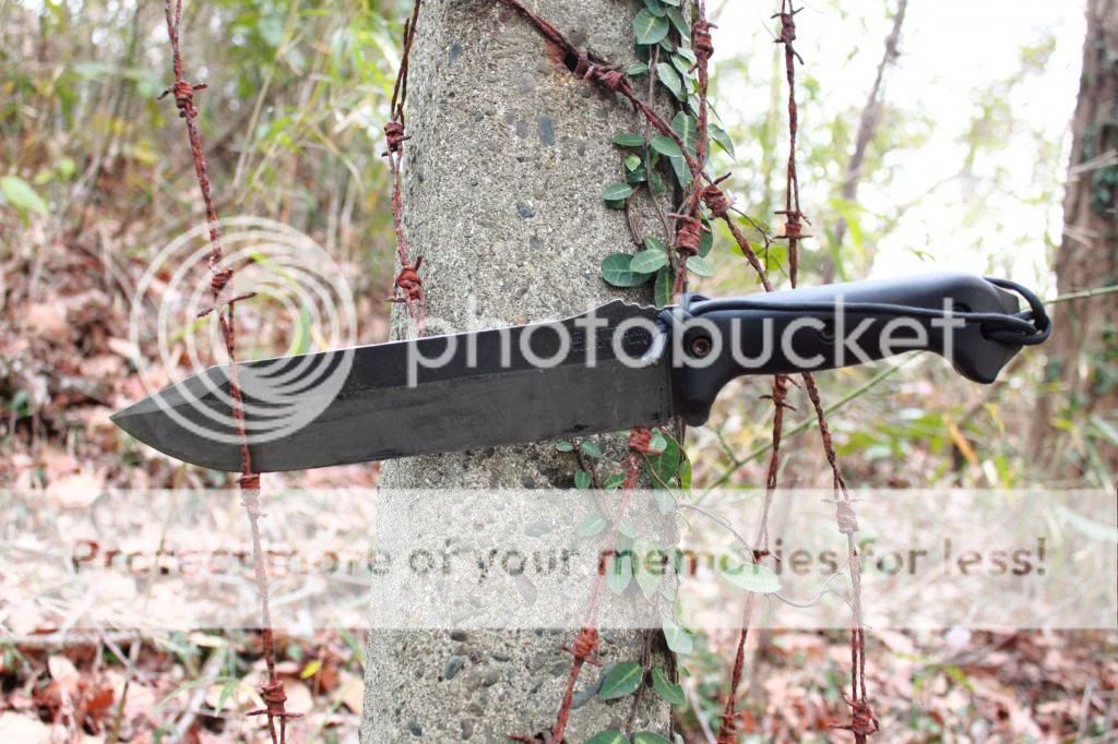 BK9andBarbedWire_zps95b091c0.jpg