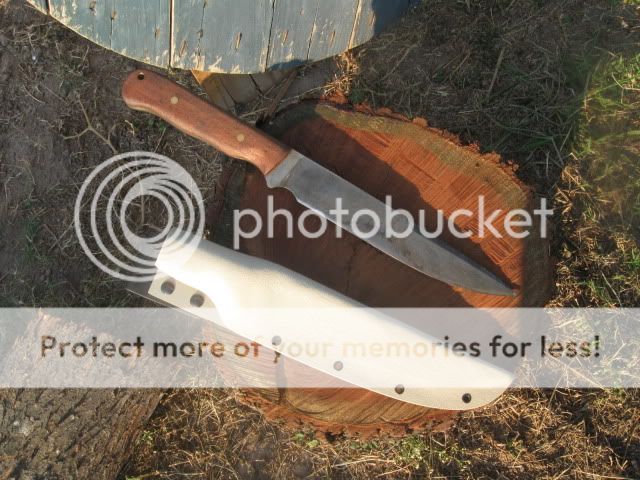 Picture450.jpg