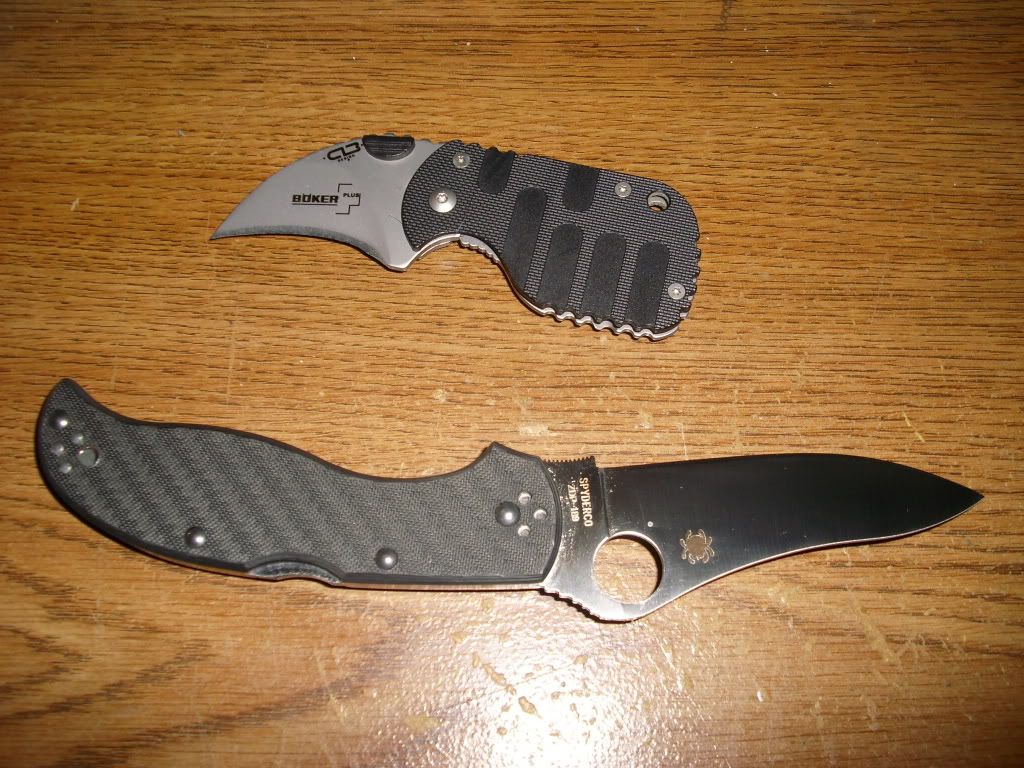 DSCI0529.jpg