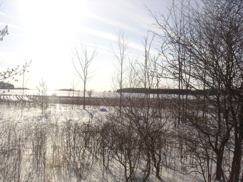 DSC04511.jpg