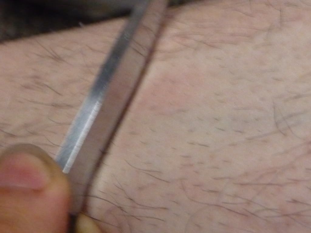 P1010929.jpg