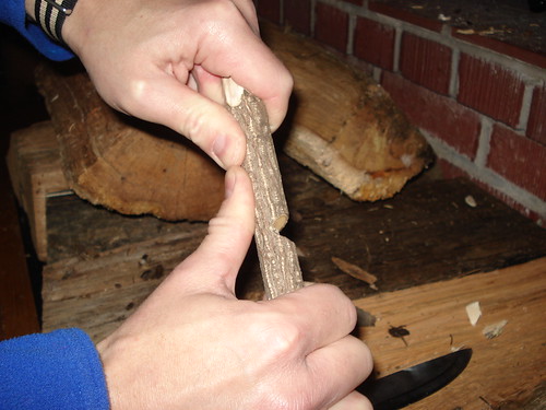 12039907634_7ddc895637.jpg