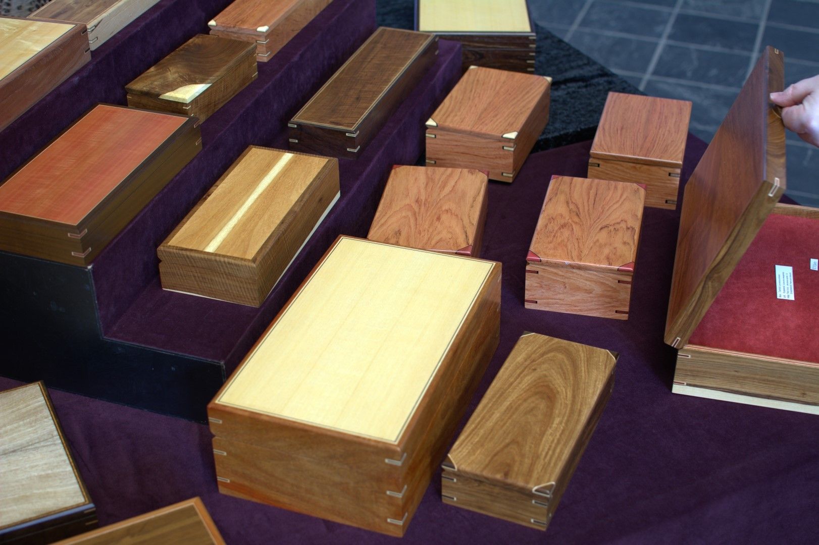 DSC_2935_zpsgwl2udxt.jpg