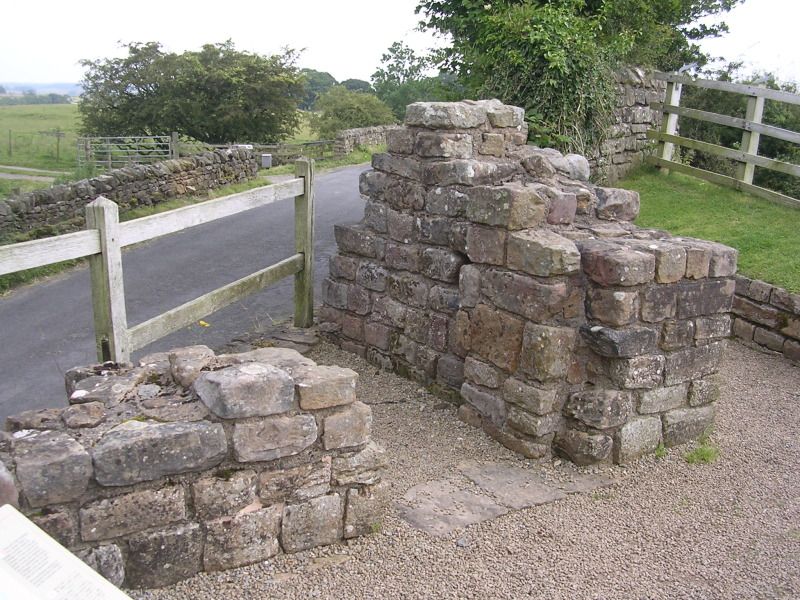 DSCN4404.jpg