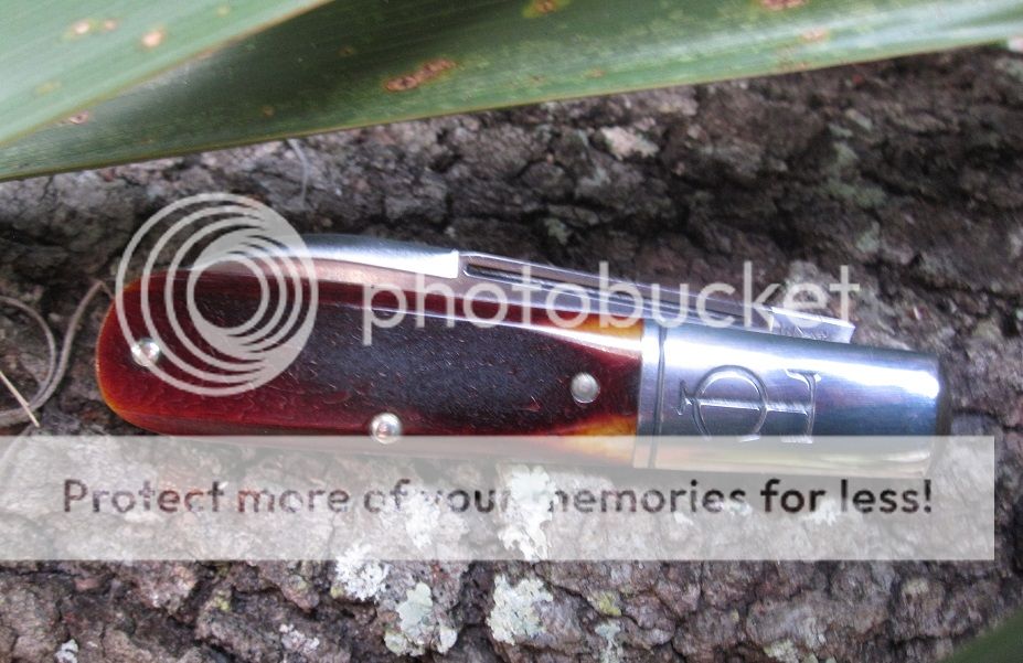 IMG_4405_zpsnmhb1tuu.jpg~original