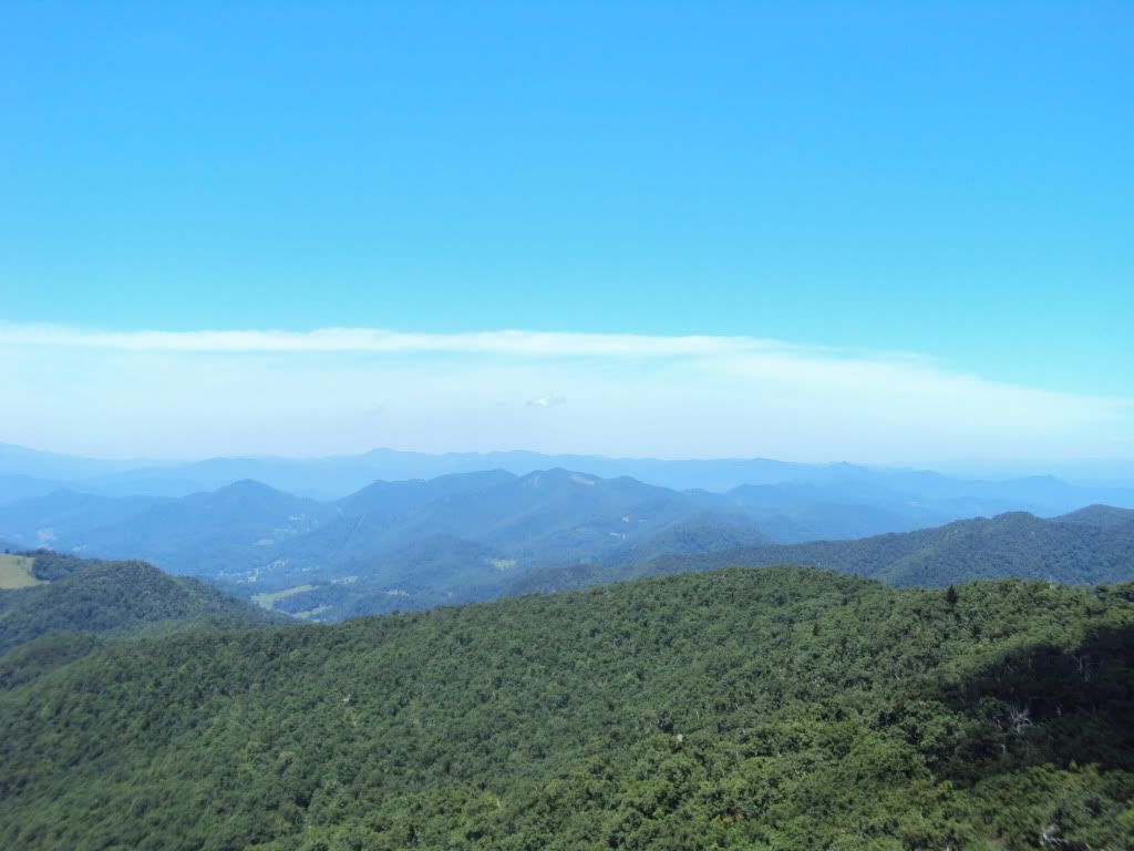 DSC00697.jpg