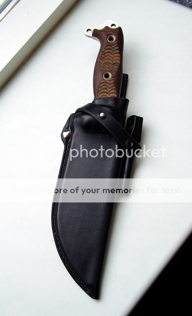 BusseASH-1LEsheath01.jpg