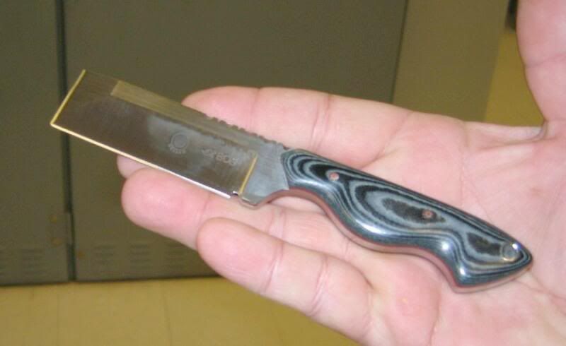 razel01.jpg