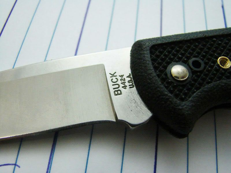 4422010.jpg