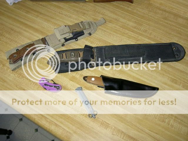 PICT5294.jpg