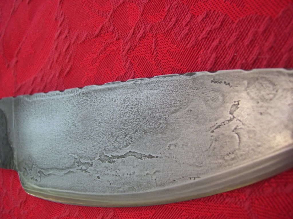 100_2613.jpg