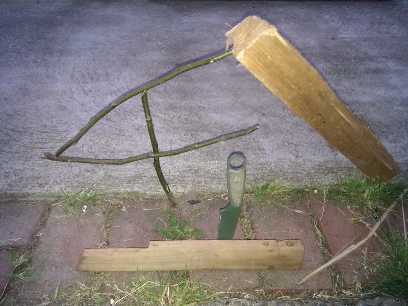 43d74f47.jpg