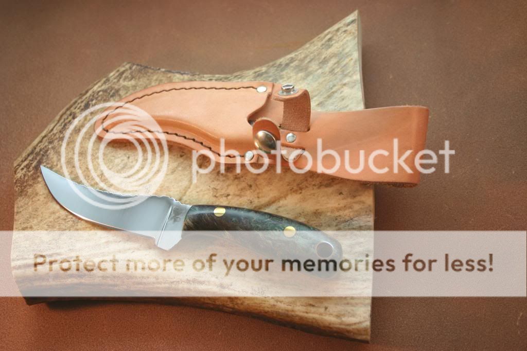 IMG_4237_1_zpsa44231ae.jpg