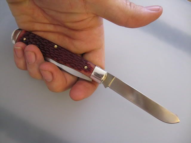 QueenTrapperinhand.jpg