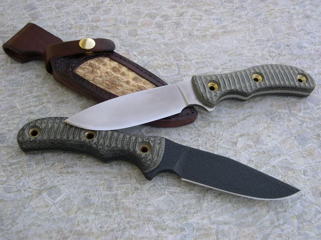 DogSkinner-SAR-zigzag.jpg