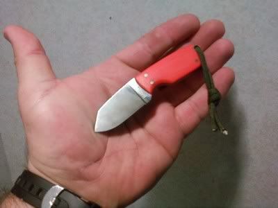 inhand1.jpg