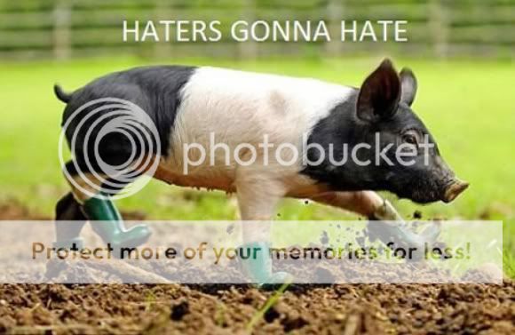 19_Haters_Gonna_Hate-s600x390-62675-580.jpg