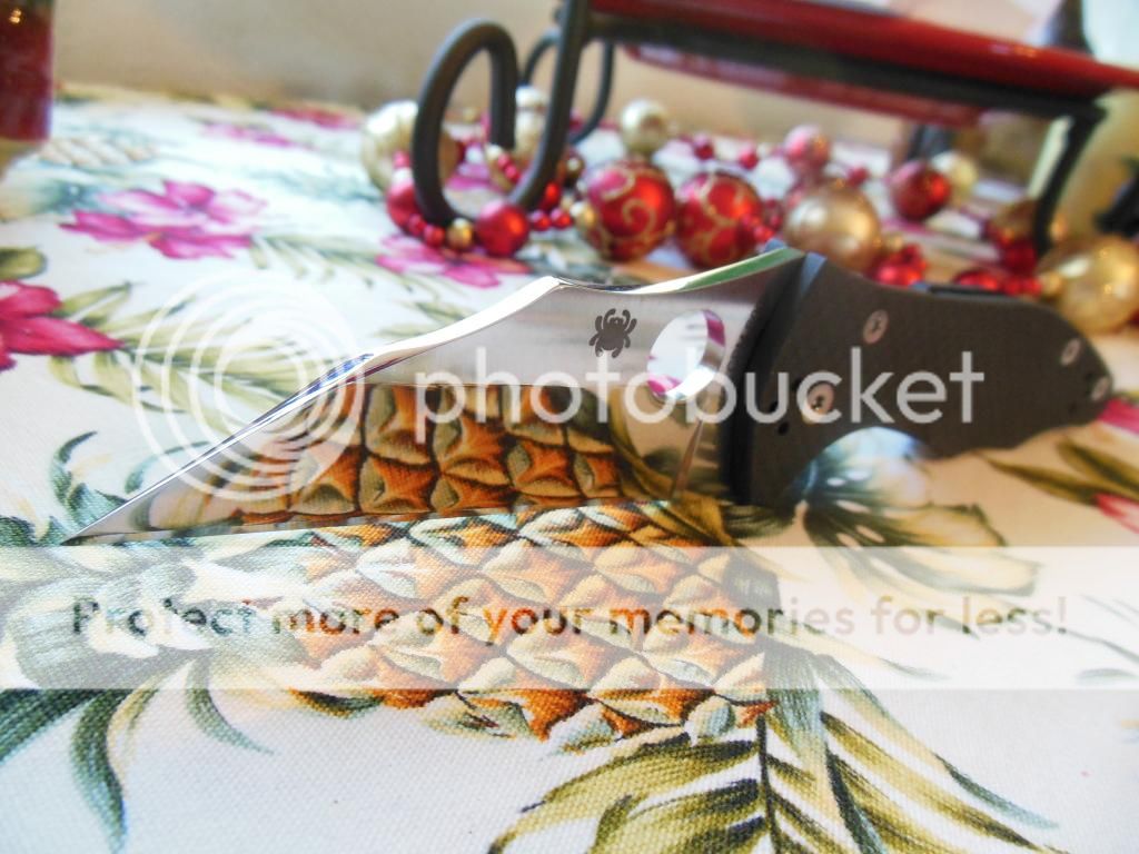 DSCN2065_zps3a643df3.jpg