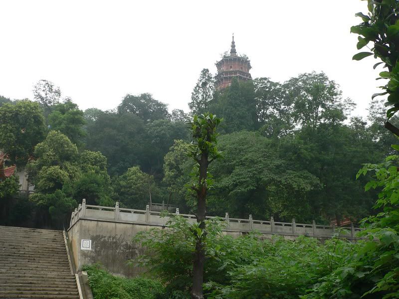 P1400587.jpg