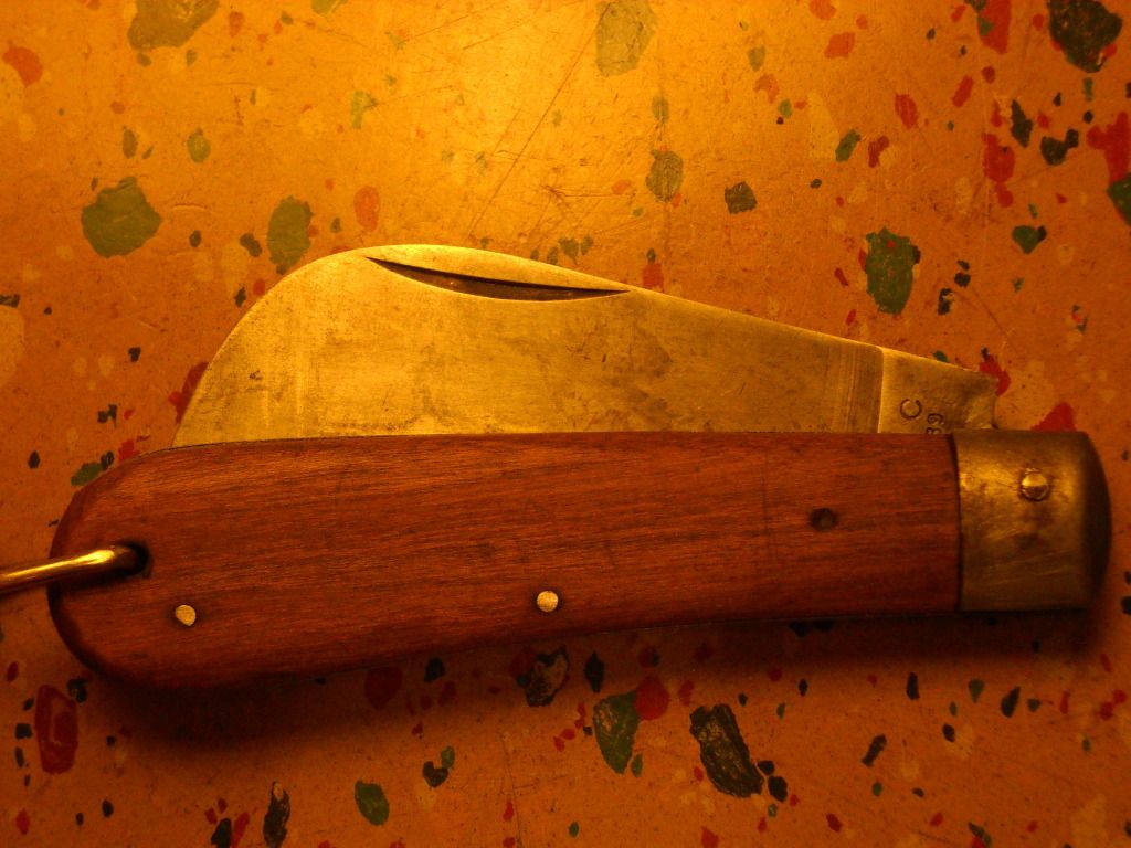 DSCN0137.jpg