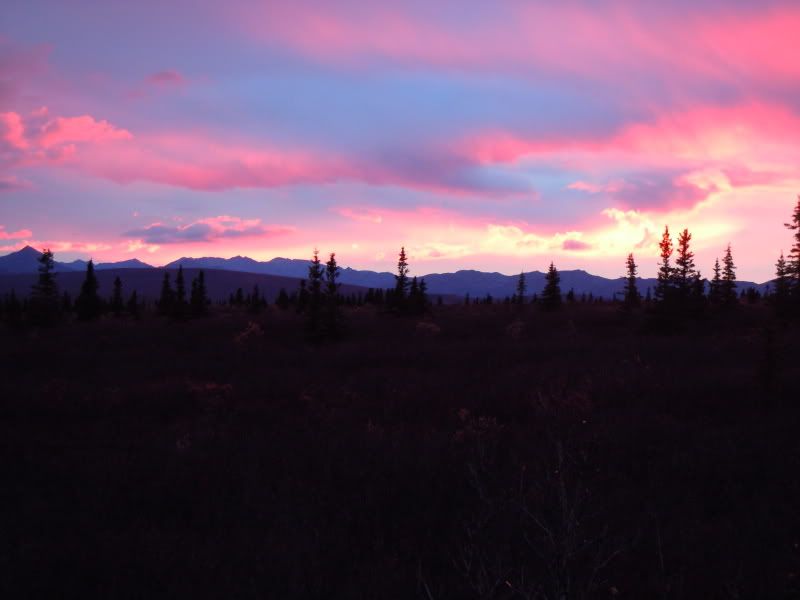 DSCN1280.jpg