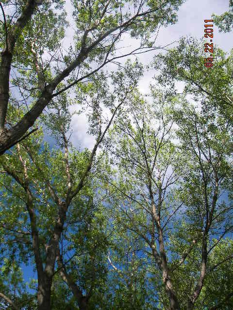DSCN3716.jpg