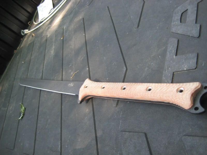 rodentwaki002.jpg