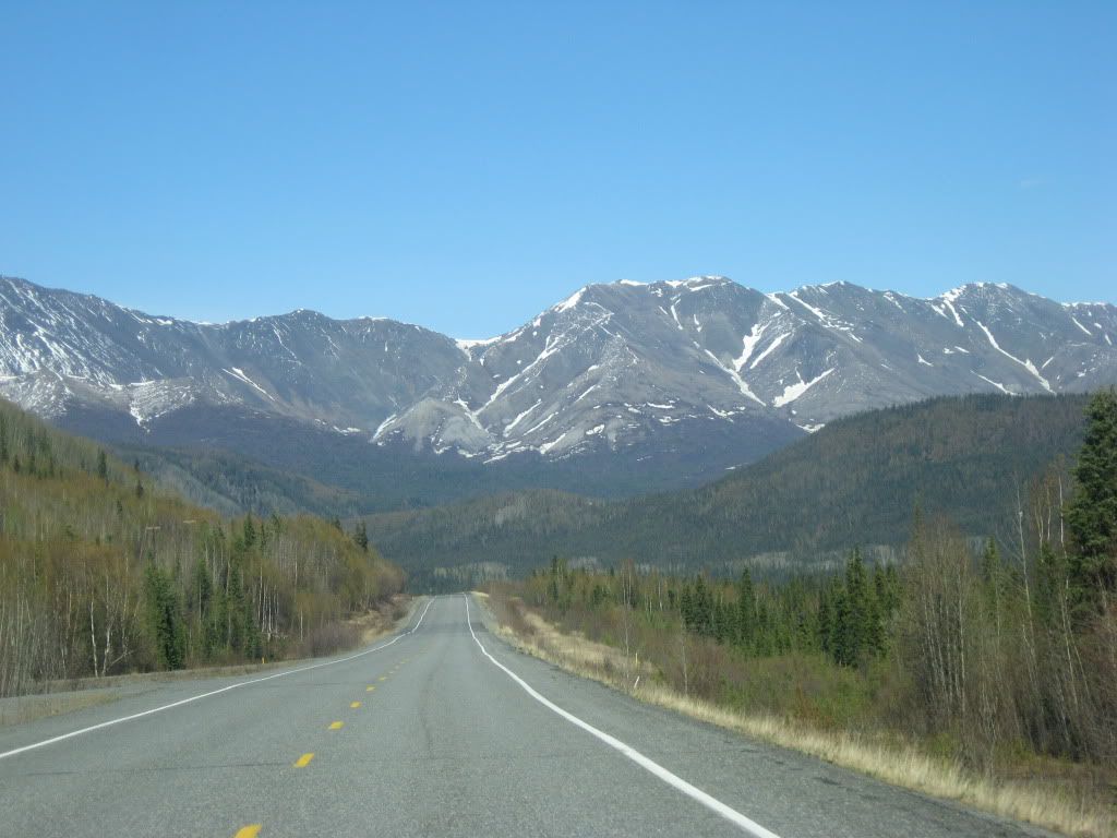 480.jpg
