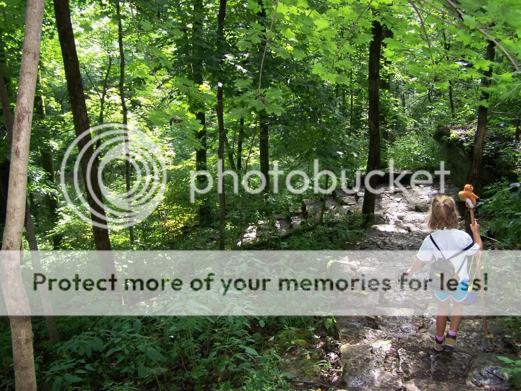 100_3645.jpg