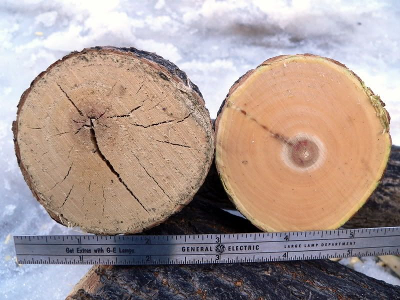 Size.jpg