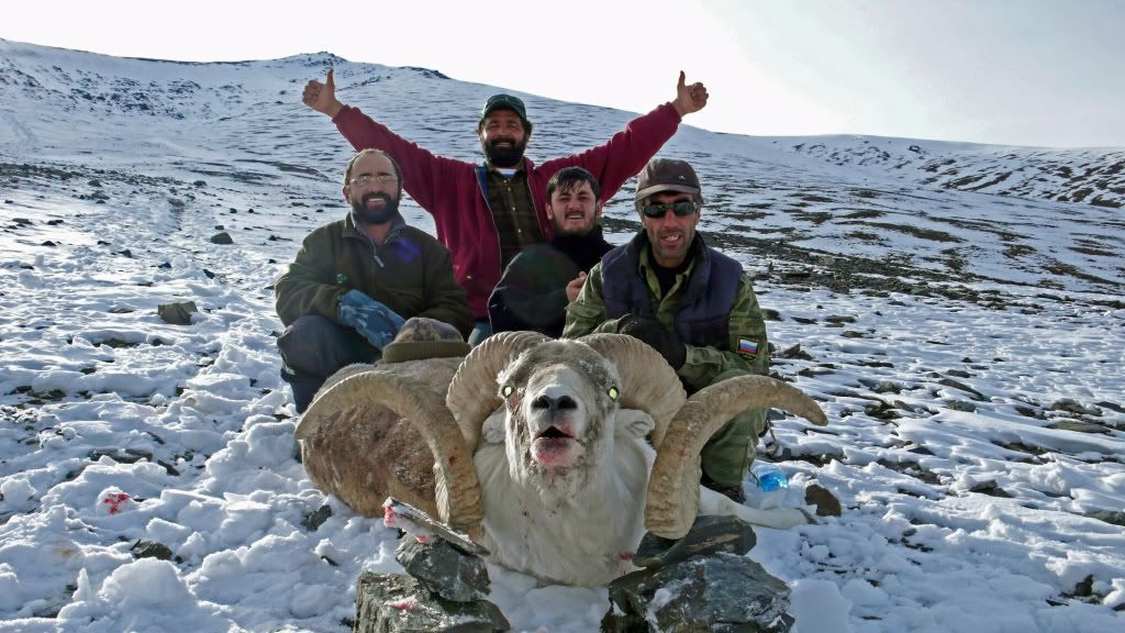 Rams07010_edited-3.jpg