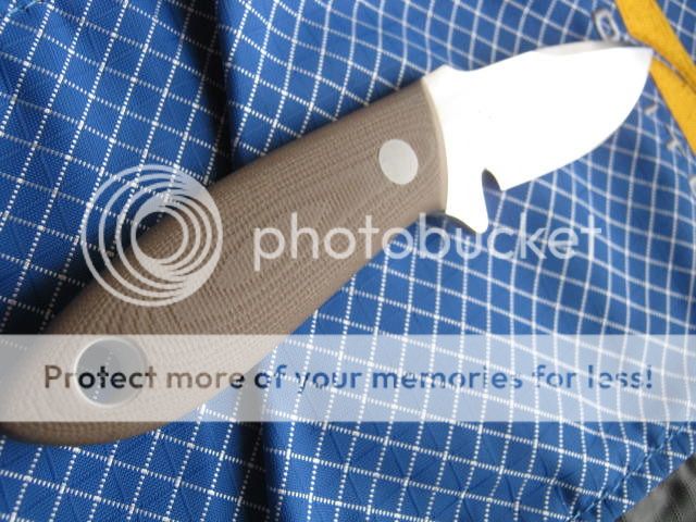 TK2265006.jpg