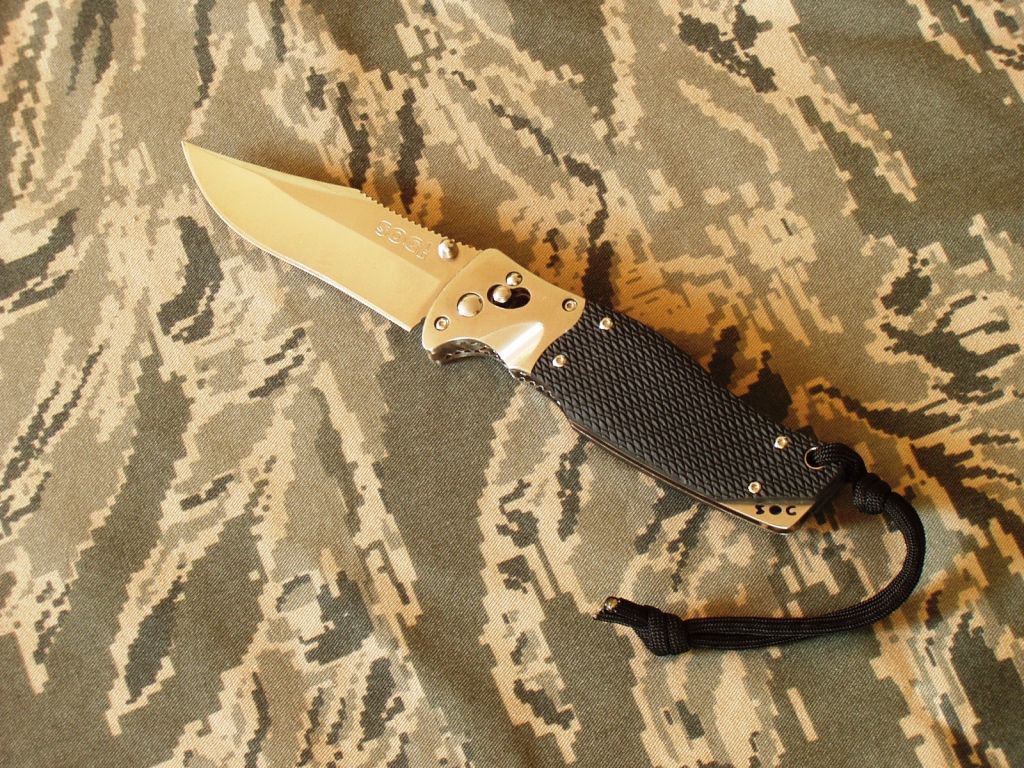 Tomcat2_0.jpg