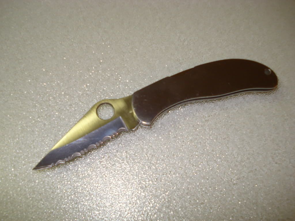 1st_spydie3.jpg